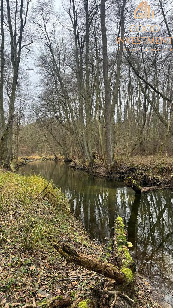 Działka Sprzedaż Szczecin Płonia 6