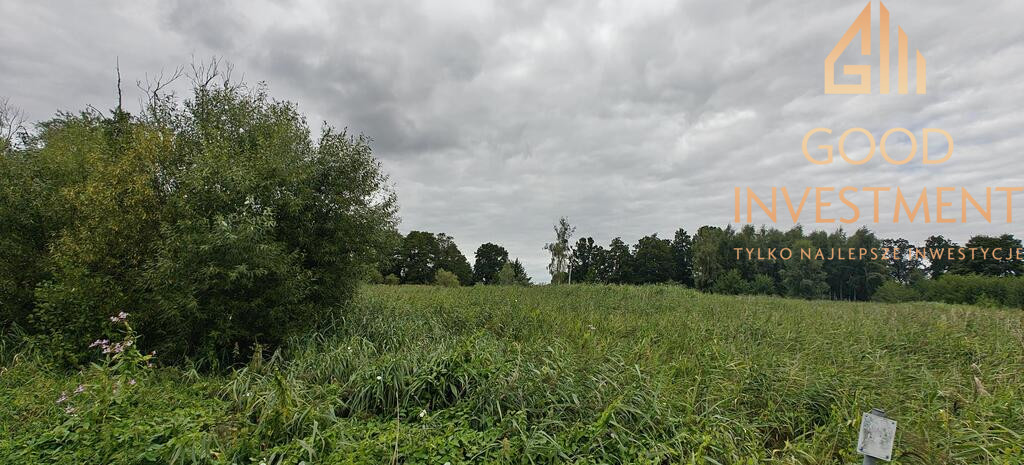 Działka Sprzedaż Stepnica 2