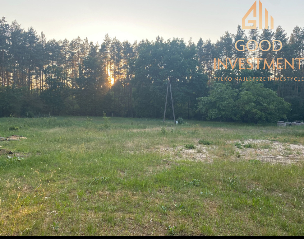 Działka Sprzedaż Trzebież 6