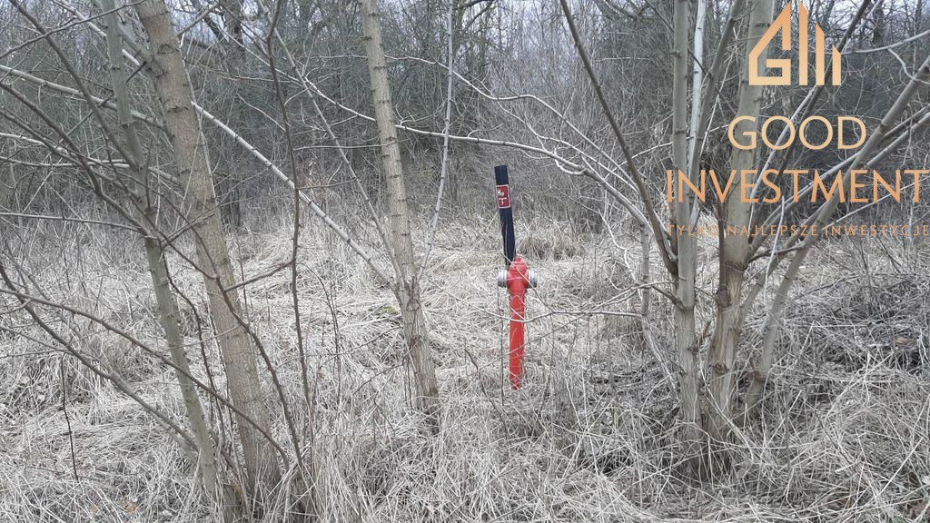 Działka Sprzedaż Karwowo 6