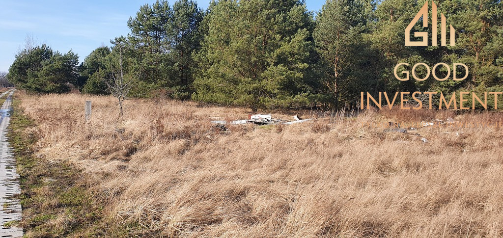 Działka Sprzedaż Białuń 6