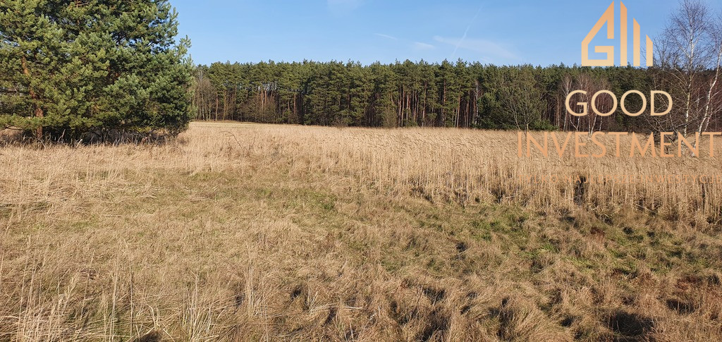 Działka Sprzedaż Białuń 1