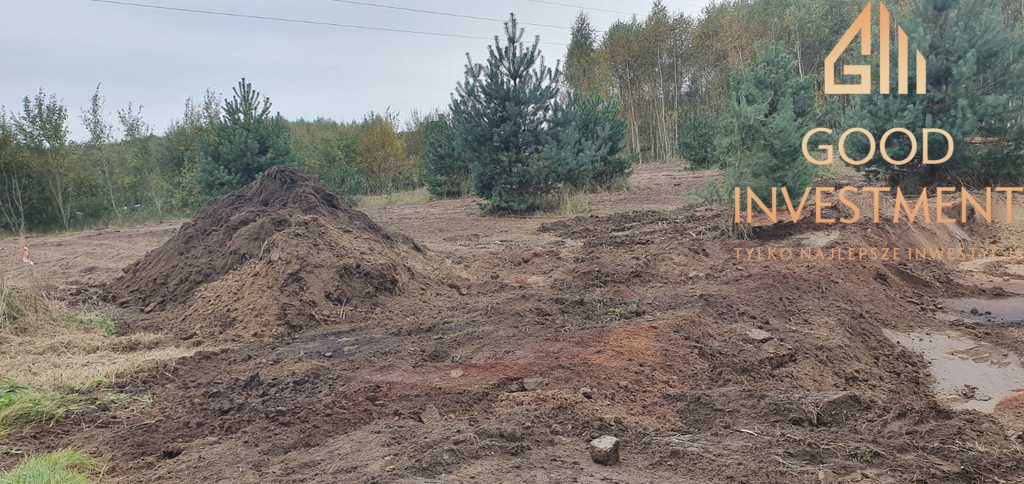 Działka Sprzedaż Borzyszewo 10