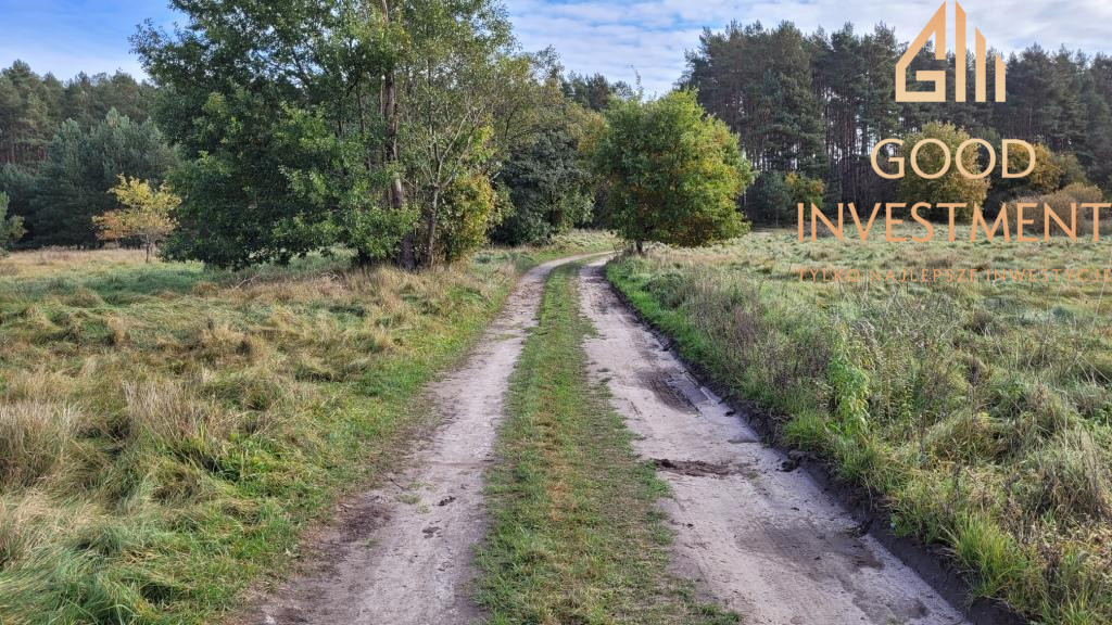 Działka Sprzedaż Warnowo