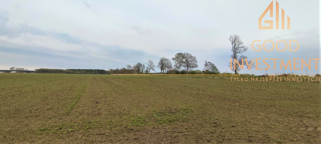 Działka Sprzedaż Lubczyna 4