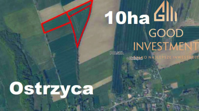 Działka Sprzedaż Ostrzyca