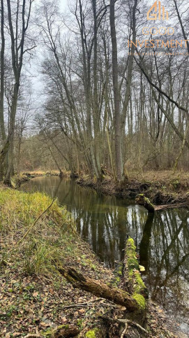 Działka Sprzedaż Szczecin Płonia 6