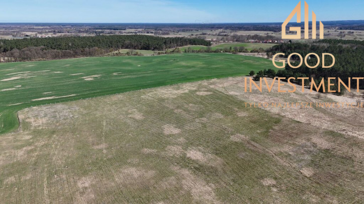 Działka Sprzedaż Buk 13