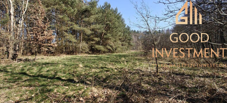 Działka Sprzedaż Nowogard 11