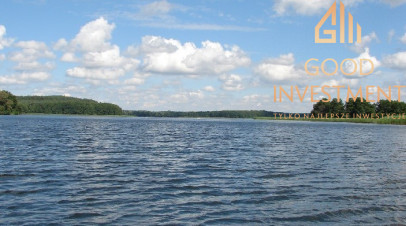 Działka Sprzedaż Dąbrowica