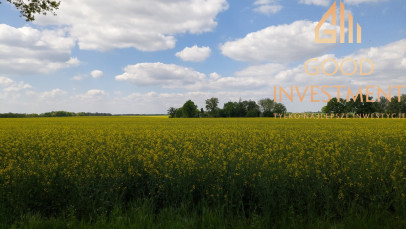 Działka Sprzedaż Mielno