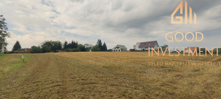 Działka Sprzedaż Barnisław 4