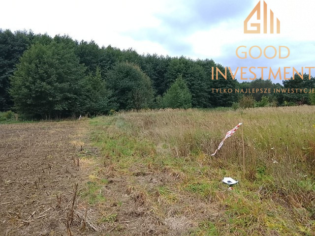 Działka Sprzedaż Stara Dąbrowa 18
