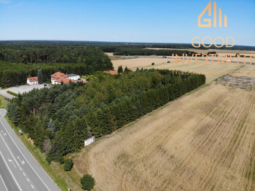 Działka Sprzedaż Kikorze