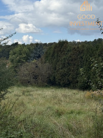 Działka Sprzedaż Szczecin Pilchowo