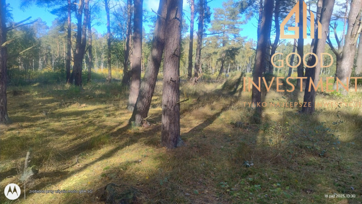 Działka Sprzedaż Dziwnów 1