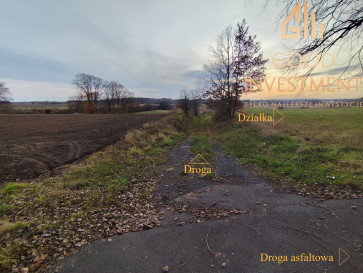 Działka Sprzedaż Wojcieszyn