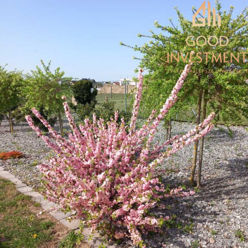 Dom Sprzedaż Radziszewo 18