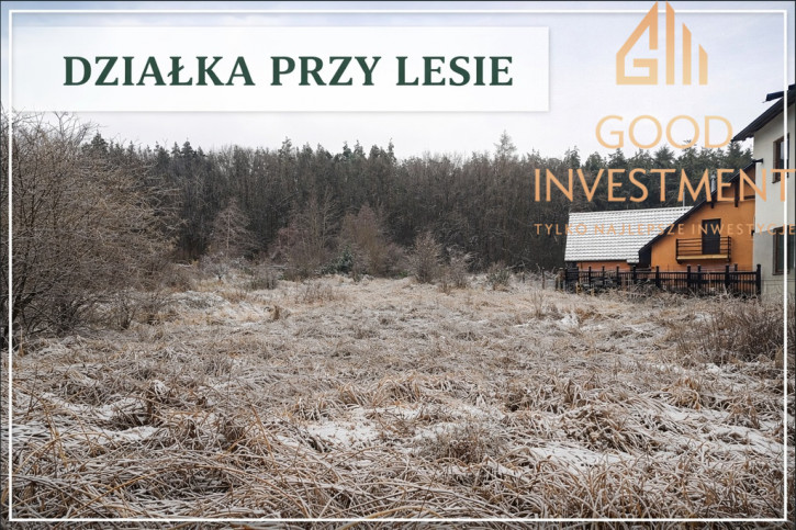 Działka Sprzedaż Pilchowo 1