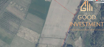 Działka Sprzedaż Trzechel