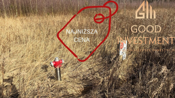 Działka Sprzedaż Żółwia Błoć 1