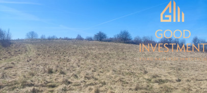 Działka Sprzedaż Linówko