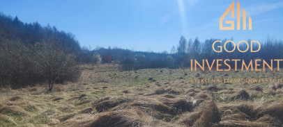 Działka Sprzedaż Linówko