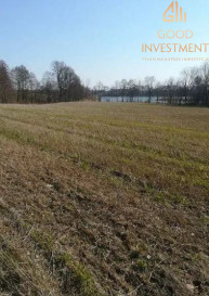 Działka Sprzedaż Kaszewo