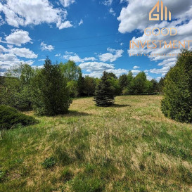 Dom Sprzedaż Dominikowo Leśna Polana
