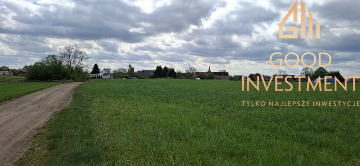Działka Sprzedaż Bagna 1