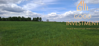 Działka Sprzedaż Bagna