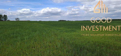 Działka Sprzedaż Bagna