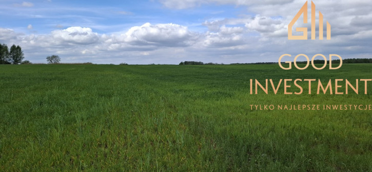 Działka Sprzedaż Bagna 3