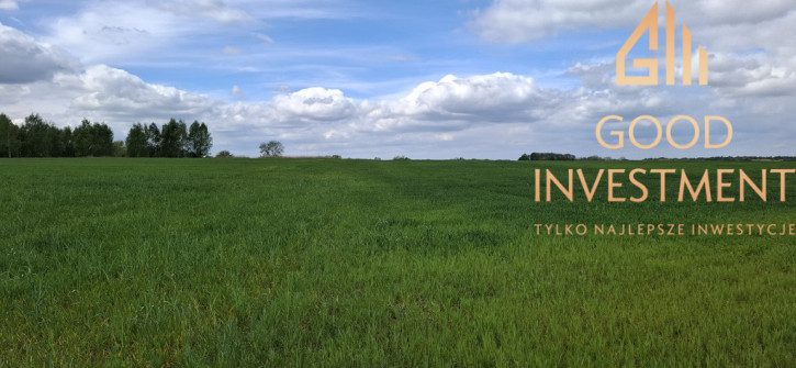 Działka Sprzedaż Bagna 4