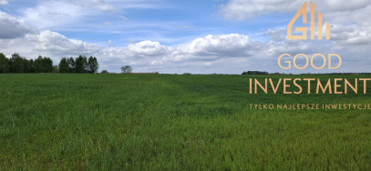 Działka Sprzedaż Bagna