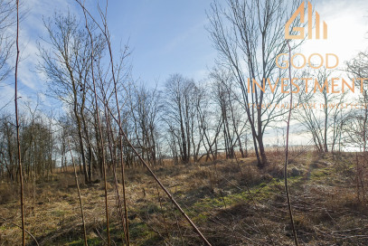 Obiekt Sprzedaż Stepnica