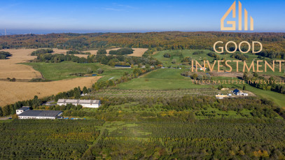 Dom Sprzedaż Binowo