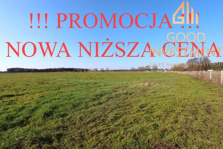 Działka Sprzedaż Lubczyna 1