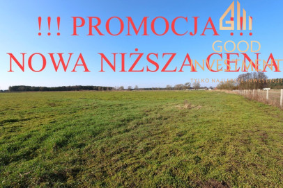 Działka Sprzedaż Lubczyna