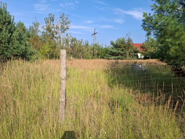 Działka Sprzedaż Łęgi 1