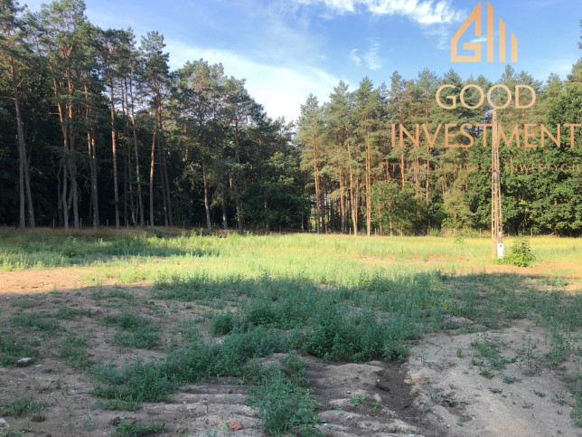 Działka Sprzedaż Trzebież 1
