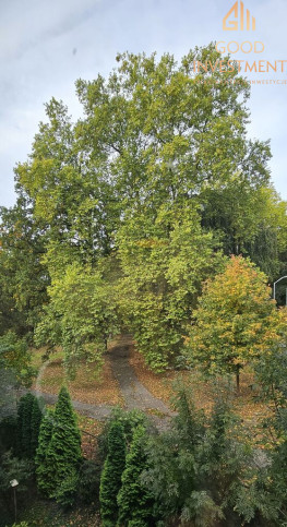 Mieszkanie Sprzedaż Szczecin Niebuszewo Jana Żupańskiego 10
