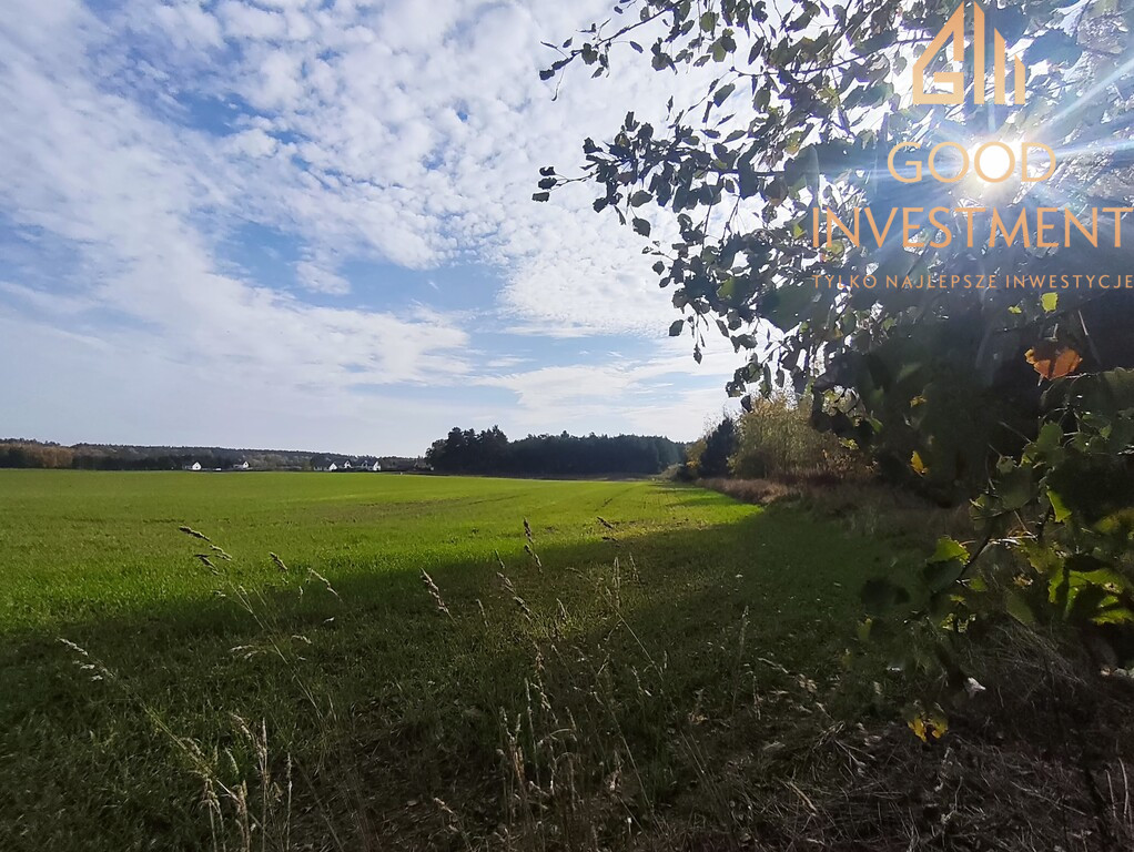 Działka Sprzedaż Grabowo 5