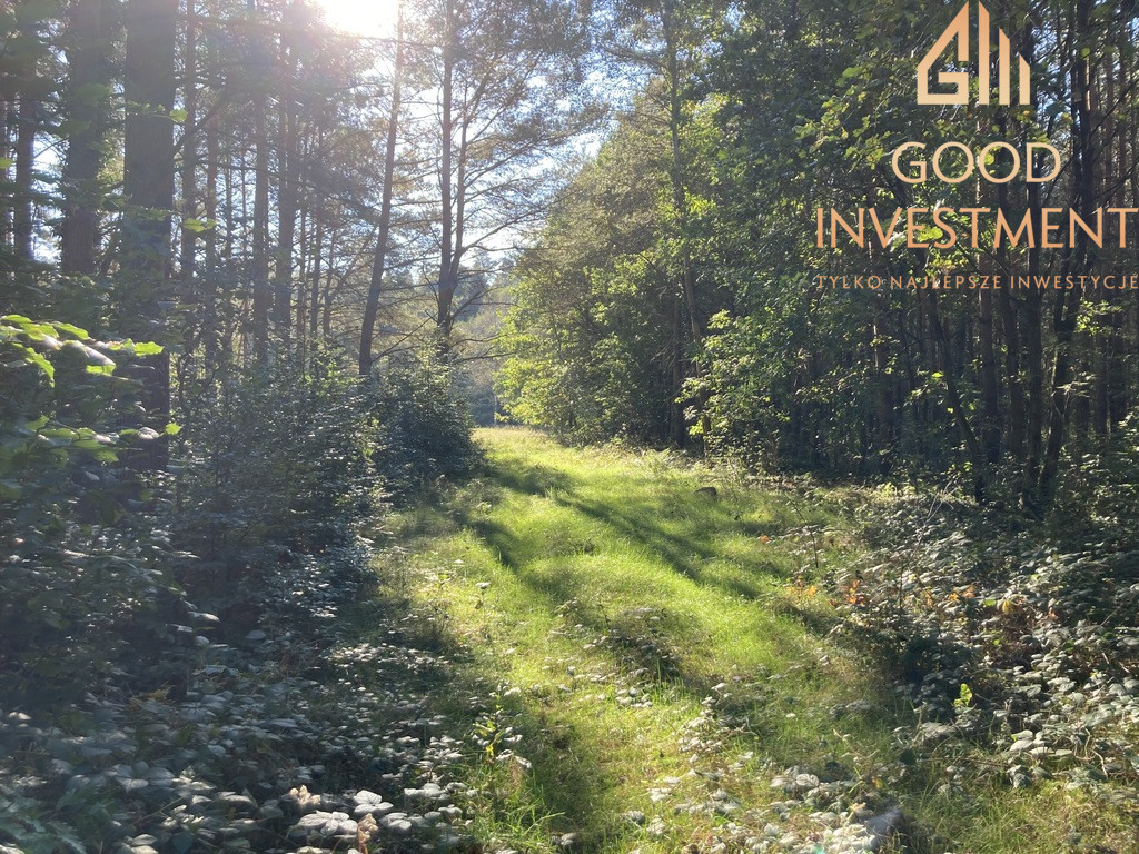 Działka Sprzedaż Krzepocin