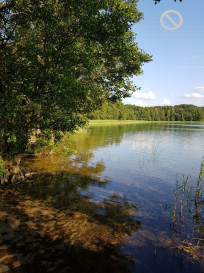 Działka Sprzedaż Komorze