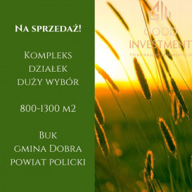 Działka Sprzedaż Buk