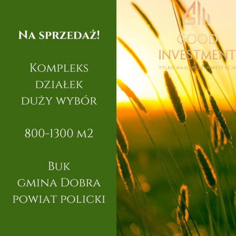 Działka Sprzedaż Buk 2