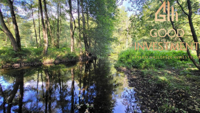 Działka Sprzedaż Staw