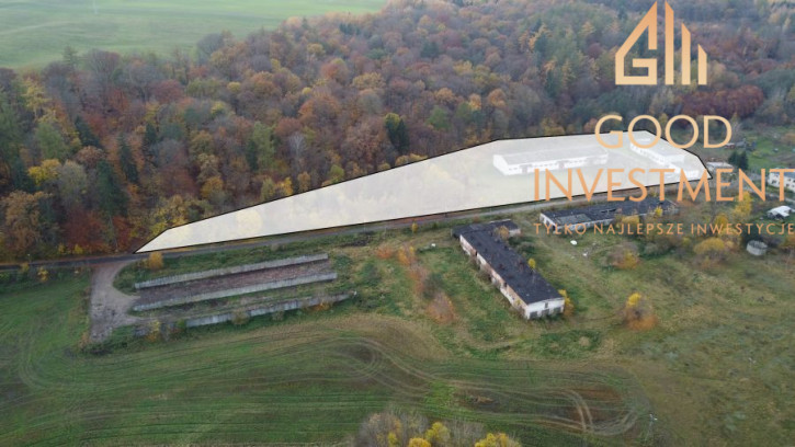 Magazyn Sprzedaż Dziwogóra 3