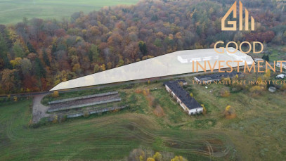 Magazyn Sprzedaż Dziwogóra